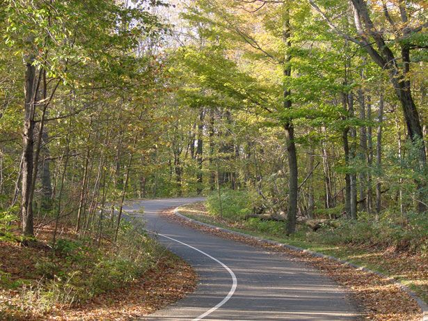 the-winding-road