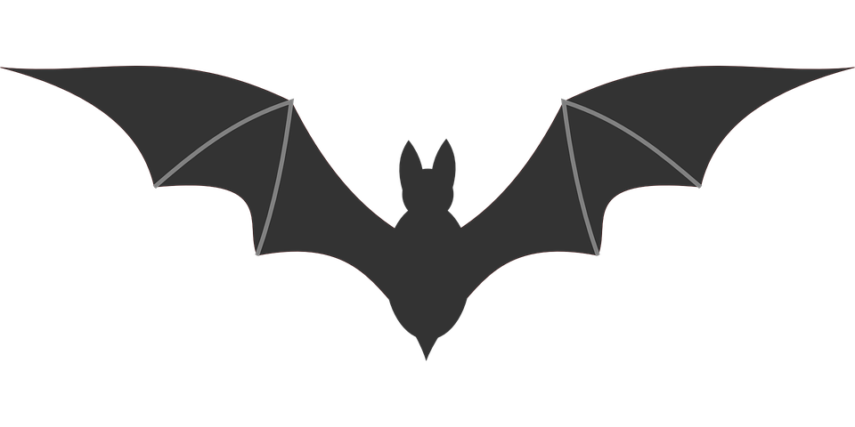 bat-895270_960_720-1