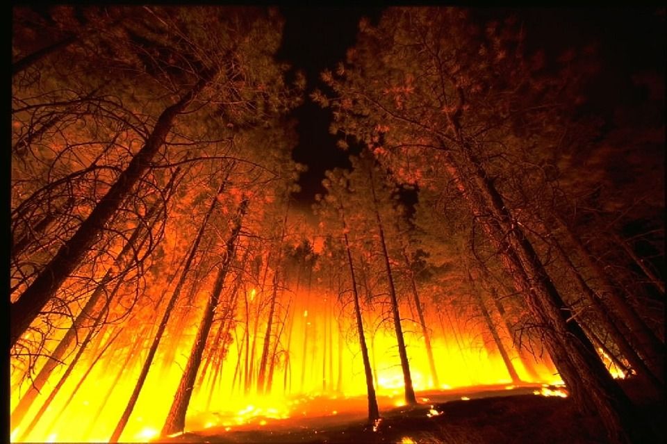 wildfire-568617_960_720-1