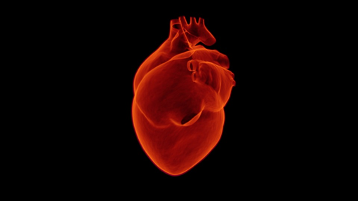 Foto-e-salud