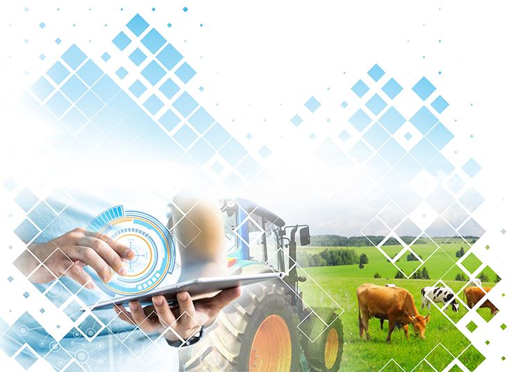 Polo de Innovación Dixital do Sector Agroalimentario Galego - Gradiant - Campus Terra USC Polo de Innovación Dixital do Sector Agroalimentario Galego - Gradiant - Campus Terra USC