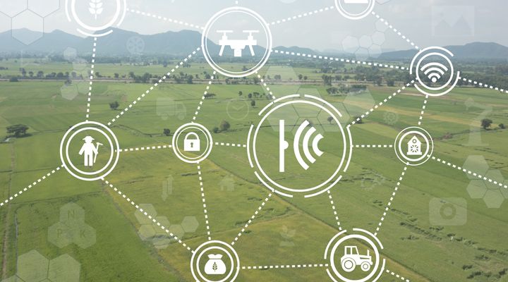 SmartFarming_04_cabecera