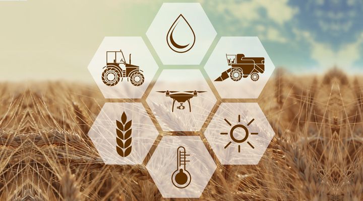 SmartFarming_03_cabecera