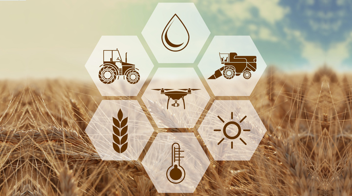 SmartFarming_03_cabecera