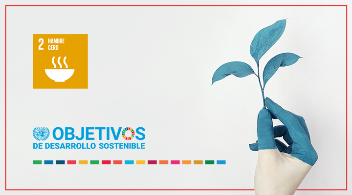 cabecera-blog-ods-2