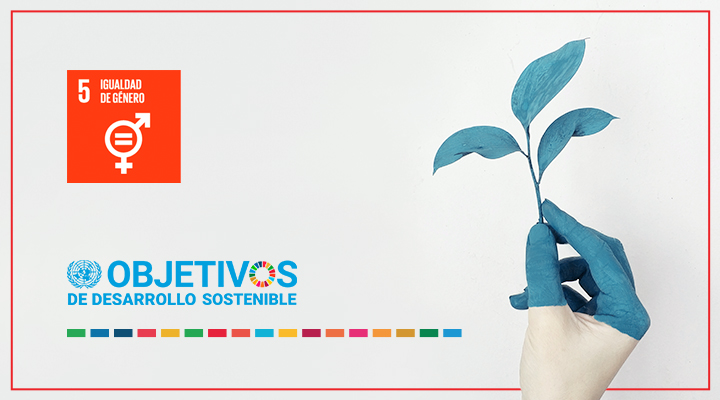 cabecera-blog-ods-5