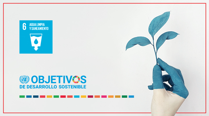 cabecera-blog-ods-6