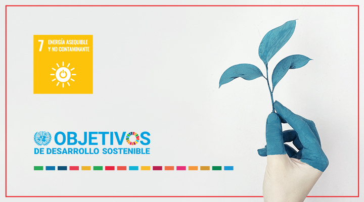 cabecera-blog-ods-7