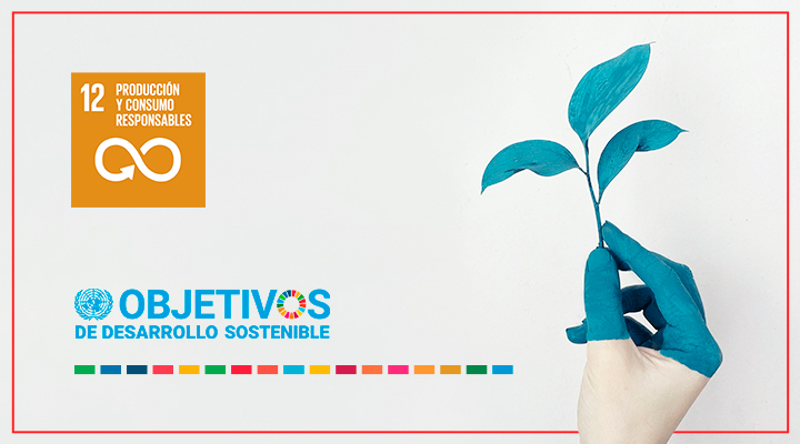 cabecera-blog-ods-12