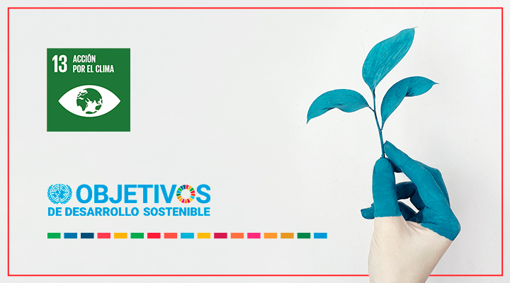 cabecera-blog-ods-13
