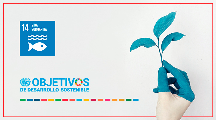 cabecera-blog-ods-14