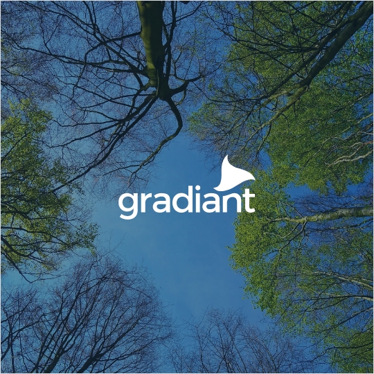 gobernanza-gradiant-1
